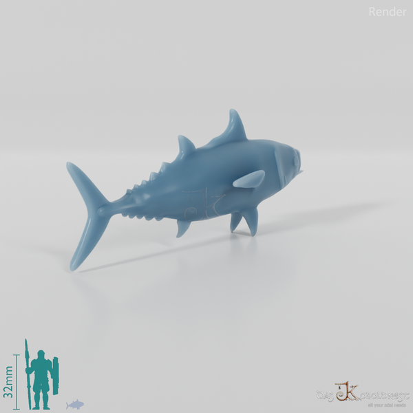 Fish - Bonito 01