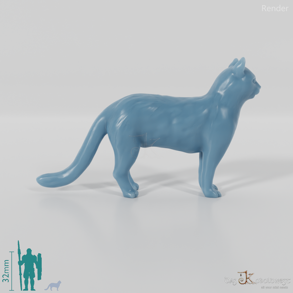 Cat - domestic cat 02