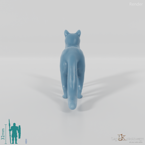 Cat - domestic cat 02