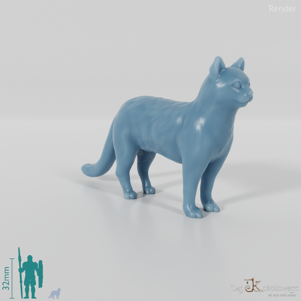 Cat - domestic cat 02