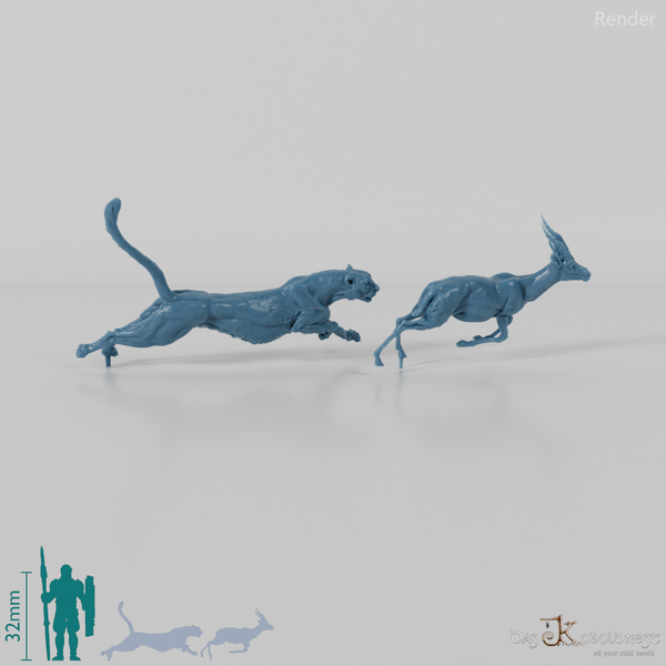 Big cat - cheetah hunting for Thomson's gazelle