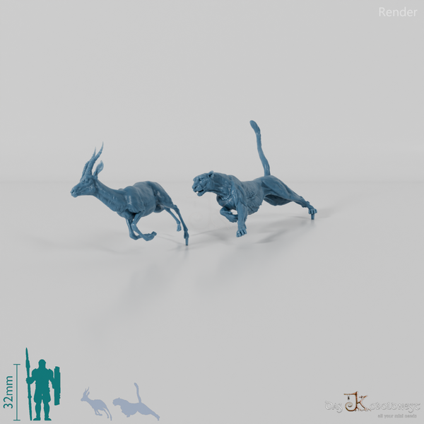 Big cat - cheetah hunting for Thomson's gazelle