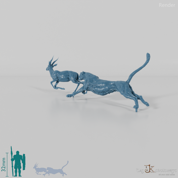 Big cat - cheetah hunting for Thomson's gazelle