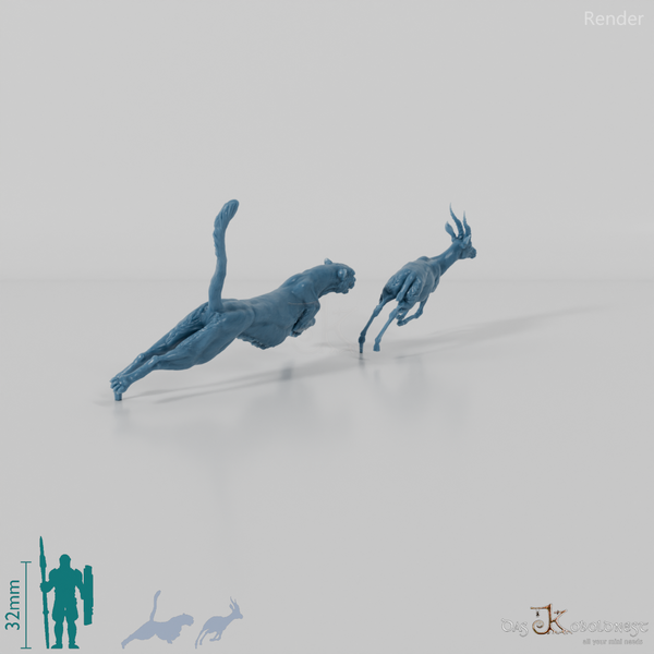 Big cat - cheetah hunting for Thomson's gazelle