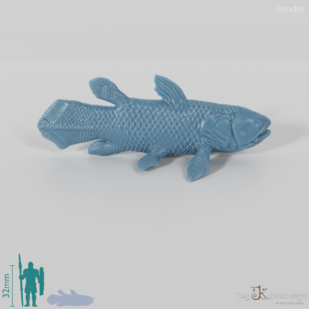 Fish - Coelacanth