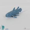 Fish - Coelacanth