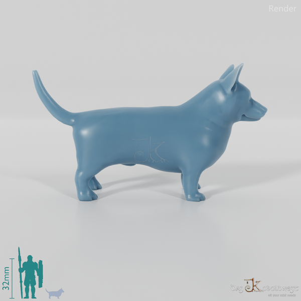 Hund - Corgi 01