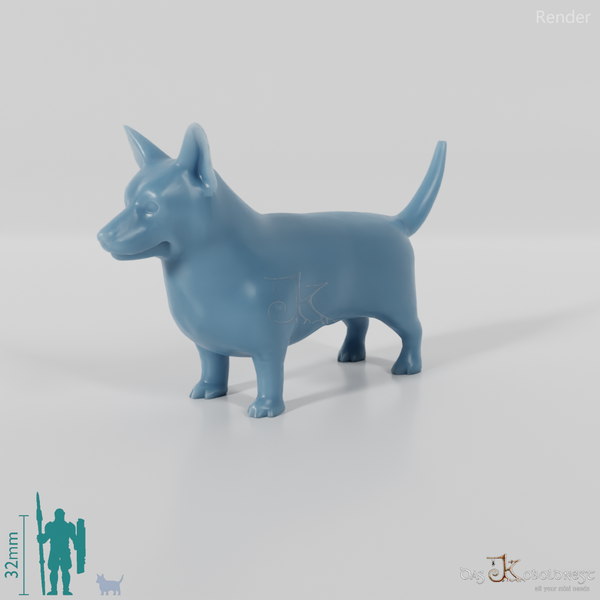 Hund - Corgi 01