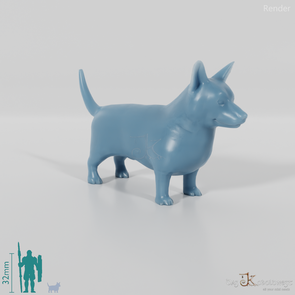Hund - Corgi 01