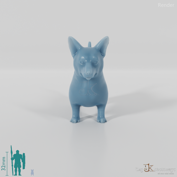 Hund - Corgi 01