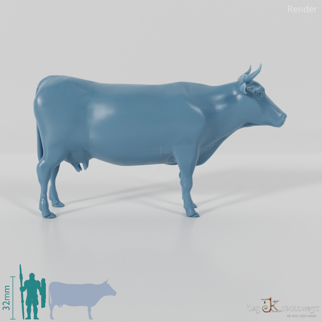 Beef - Cow 01