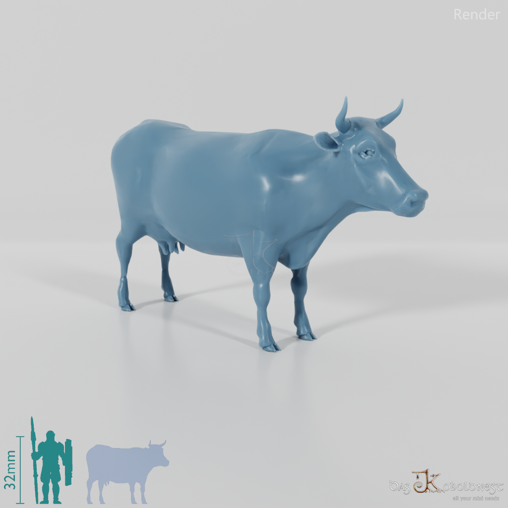 Beef - Cow 01