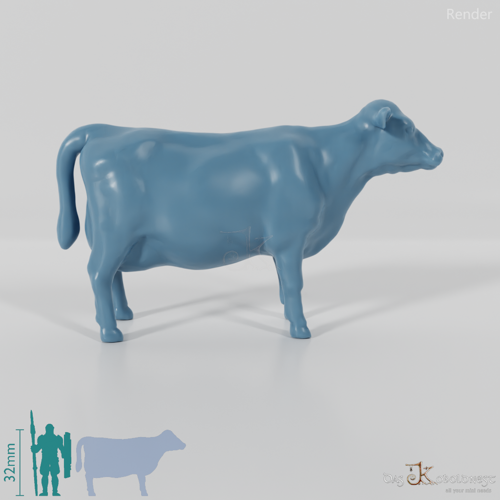 Beef - Cow 03