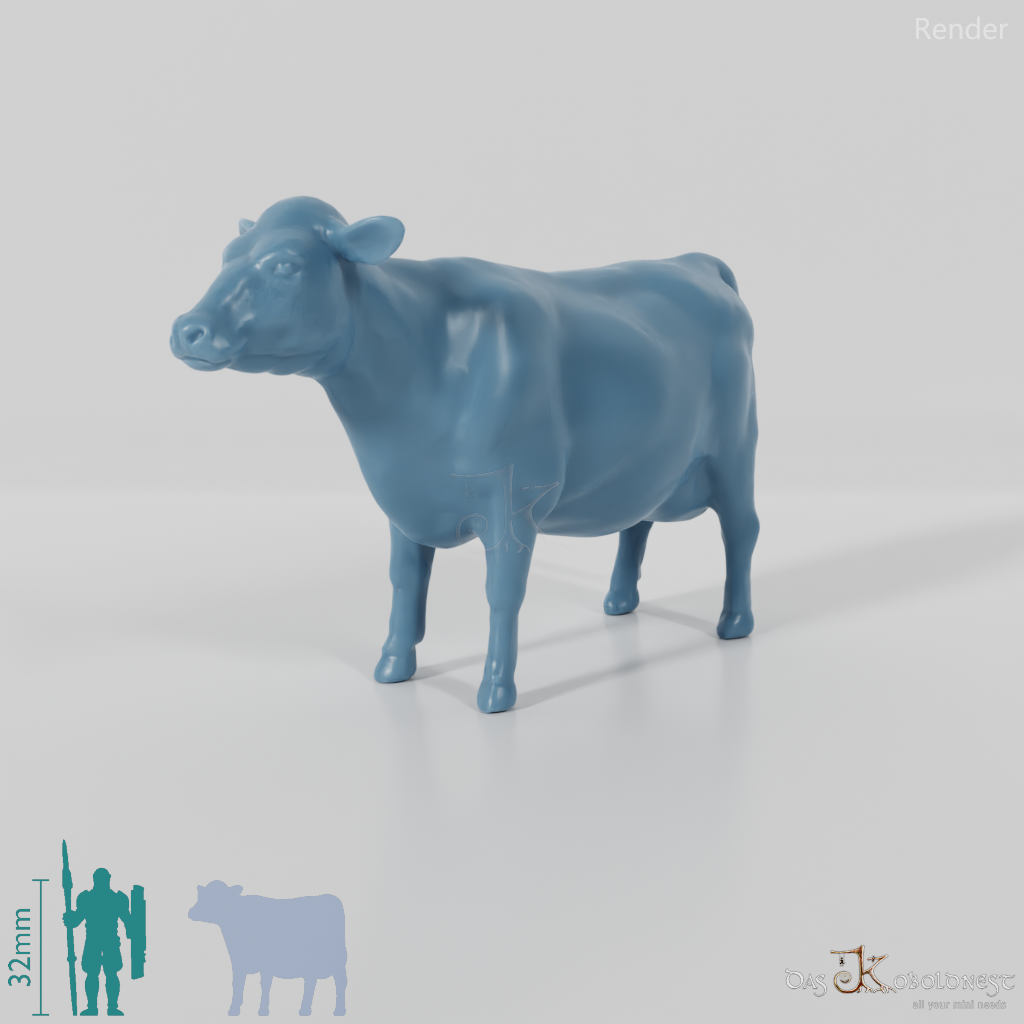 Beef - Cow 03