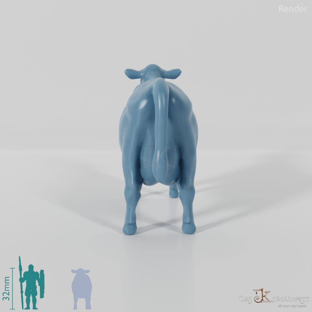 Beef - Cow 03