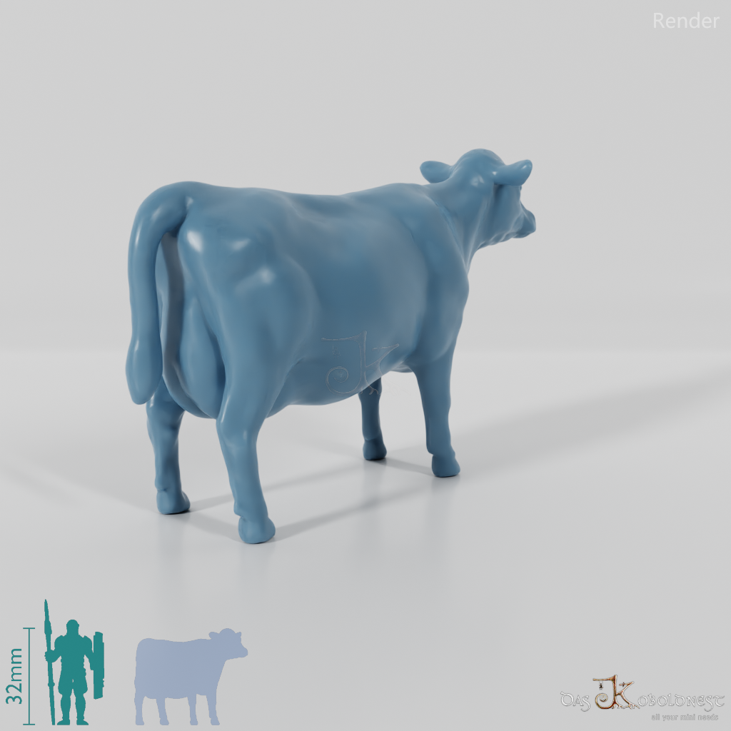 Beef - Cow 03