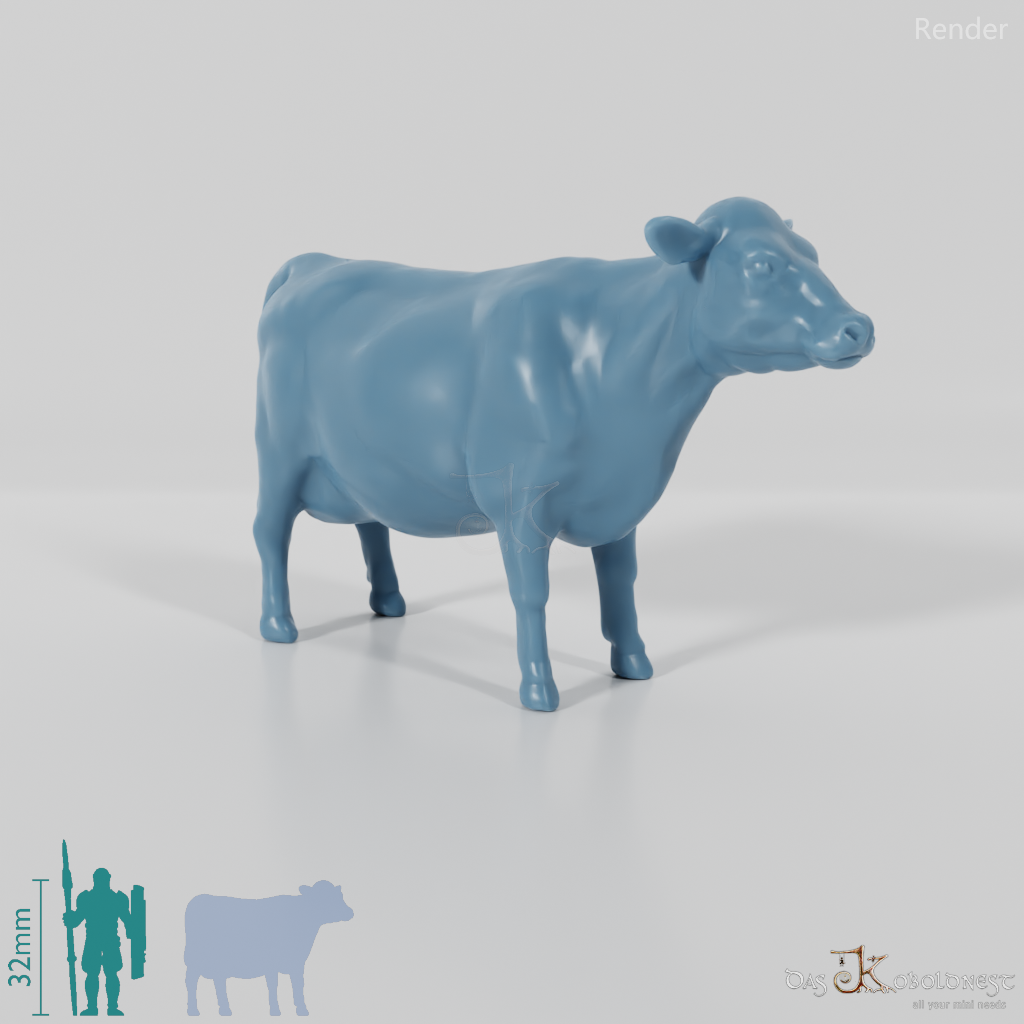 Beef - Cow 03