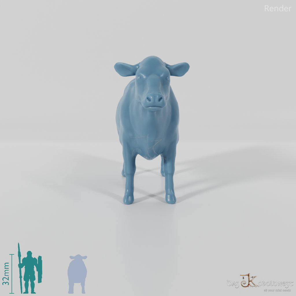 Beef - Cow 03