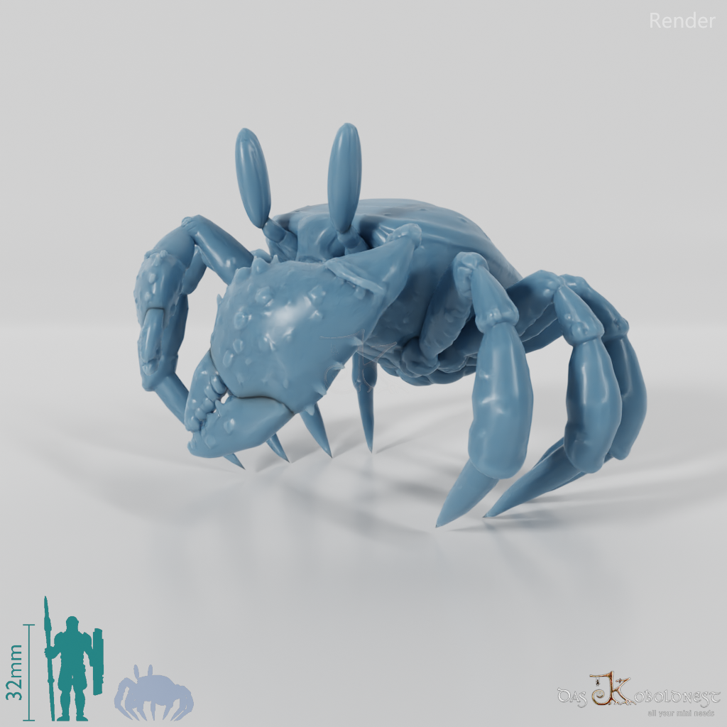 Crab - Large Fiddler Crab 01