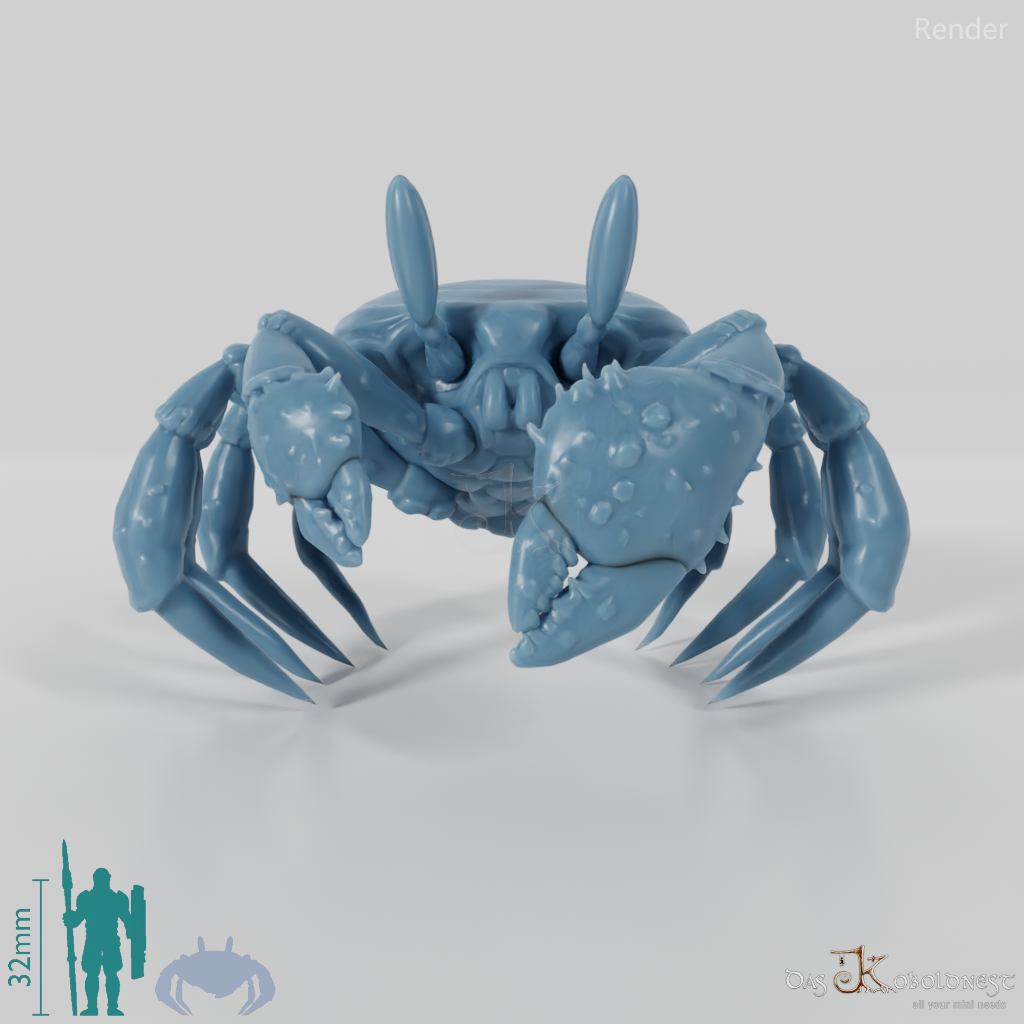 Crab - Large Fiddler Crab 01