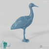 Bird - Crane 01