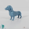 Dog - Dachshund 01