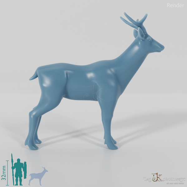 Deer - Roebuck 01
