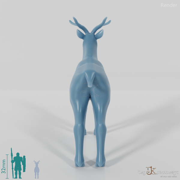 Deer - Roebuck 01