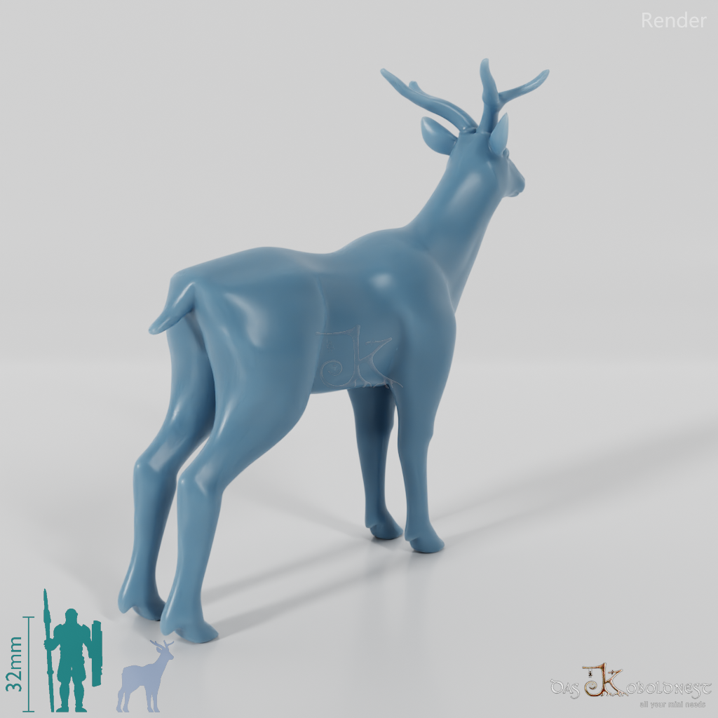 Deer - Roebuck 01