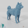 Dog - Shiba Inu 01