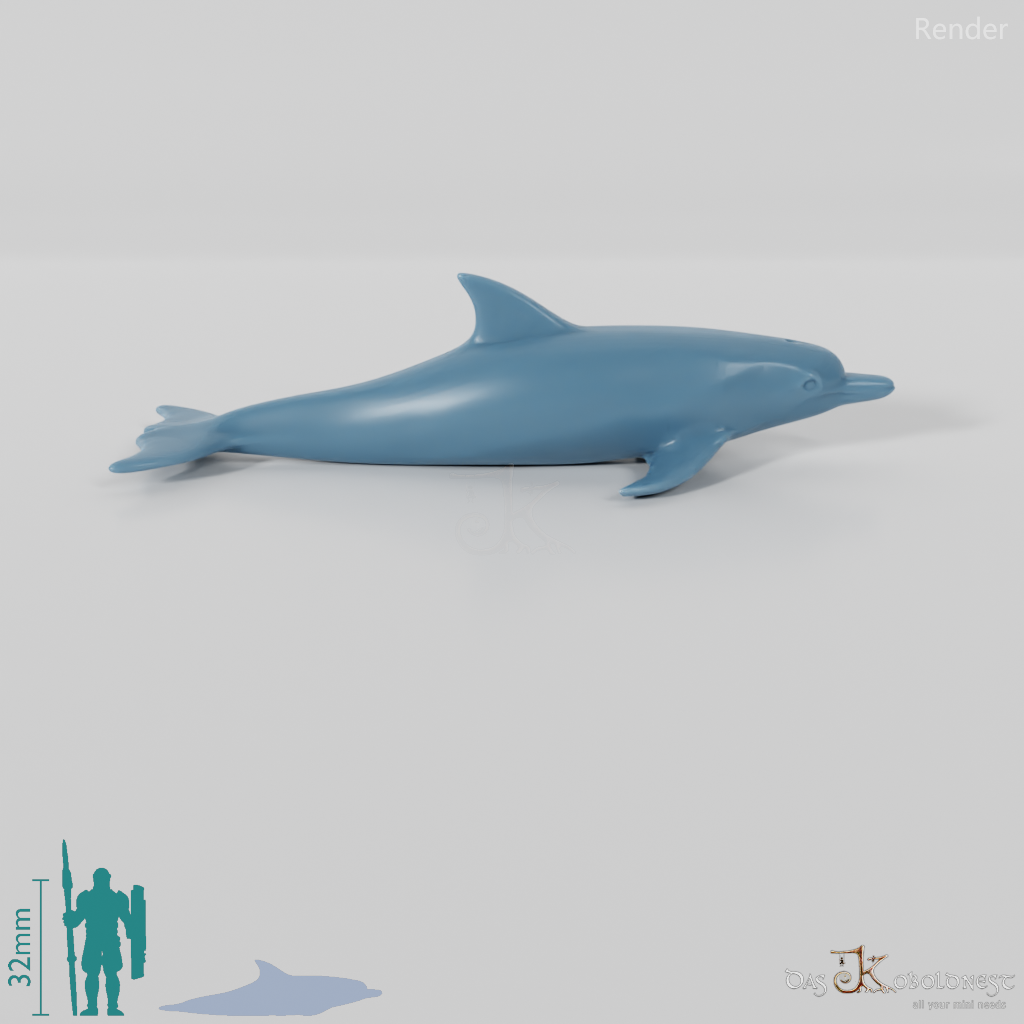Dolphin - Dolphin 01