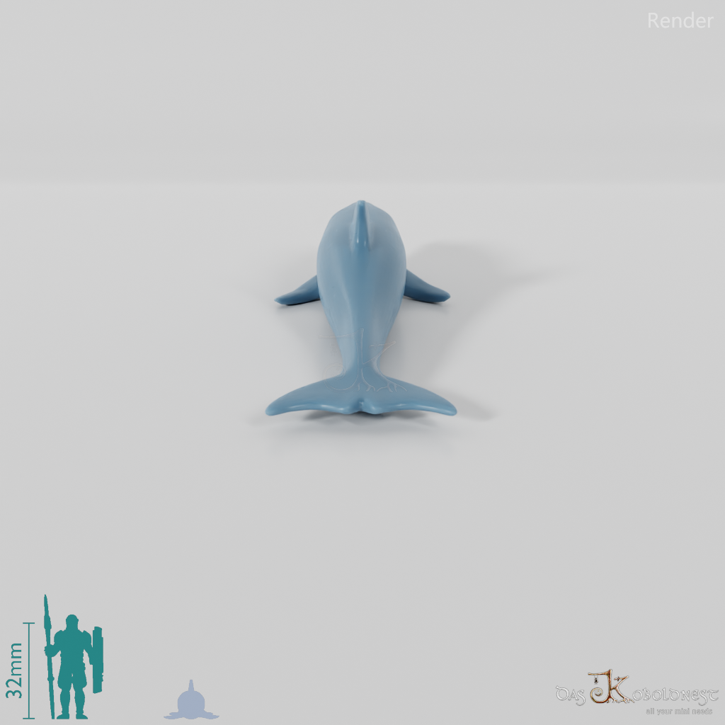 Delfin - Delfin 01