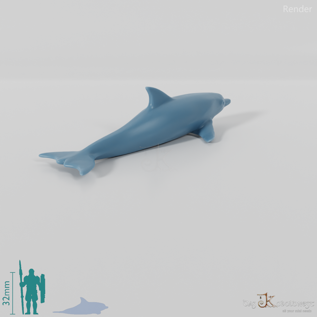 Dolphin - Dolphin 01