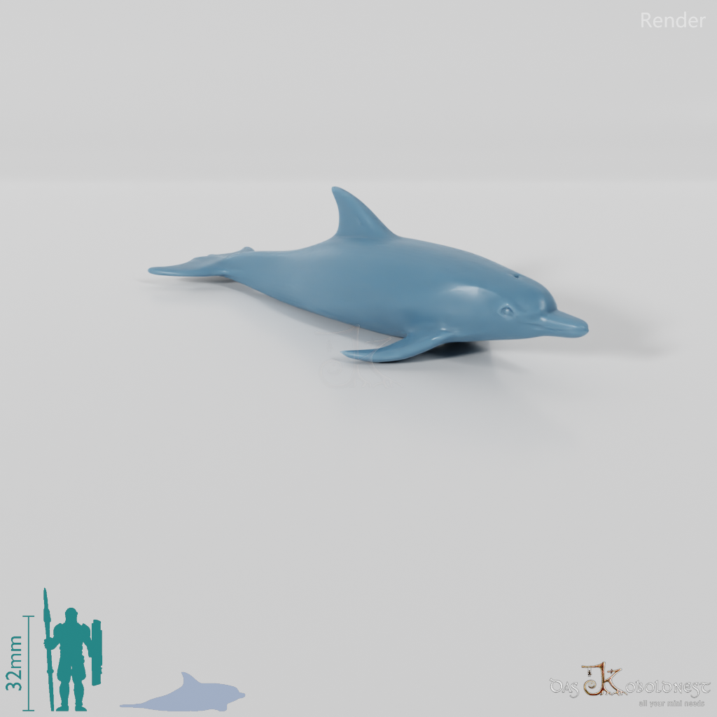 Delfin - Delfin 01