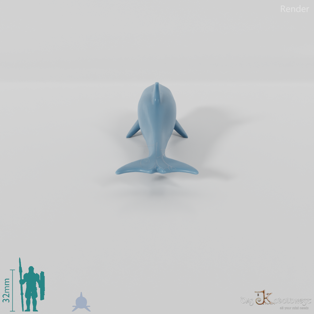 Delfin - Delfin 02