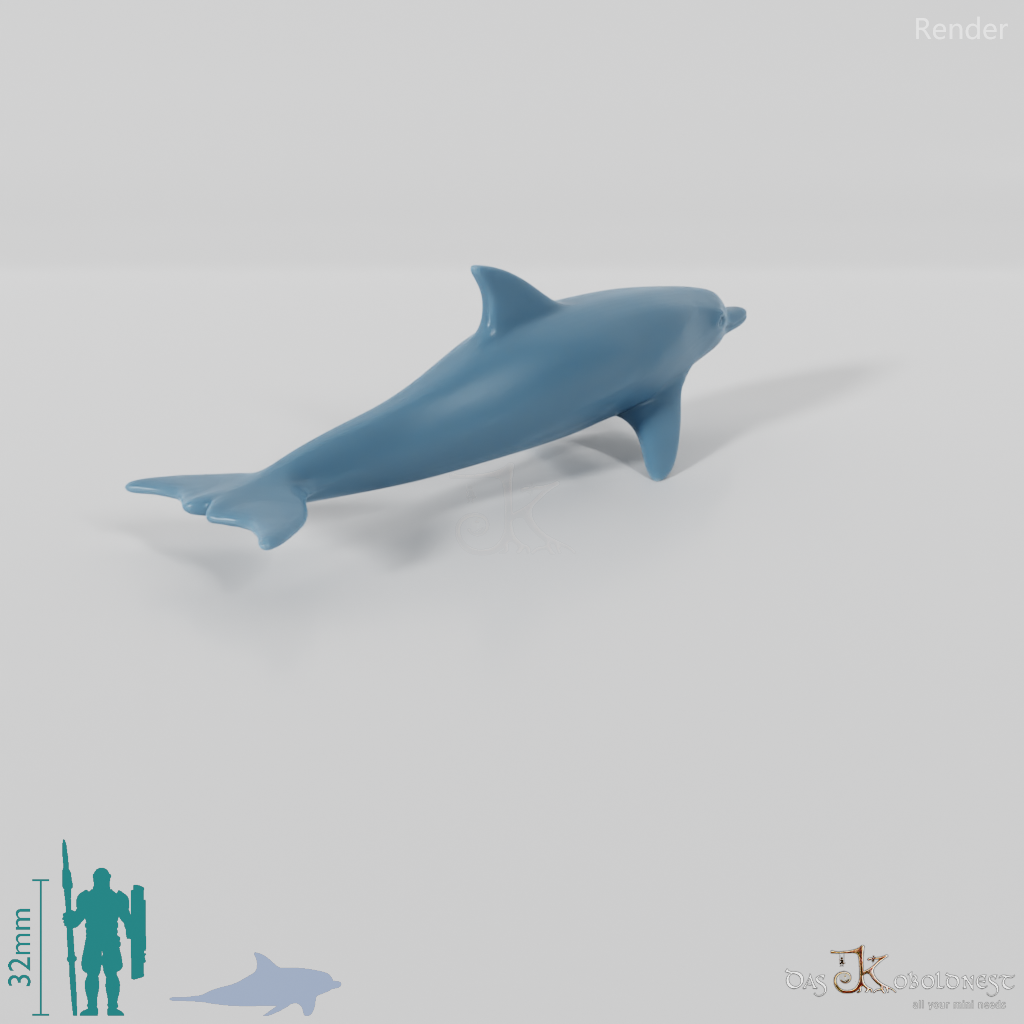 Dolphin - Dolphin 02