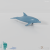 Dolphin - Dolphin 02
