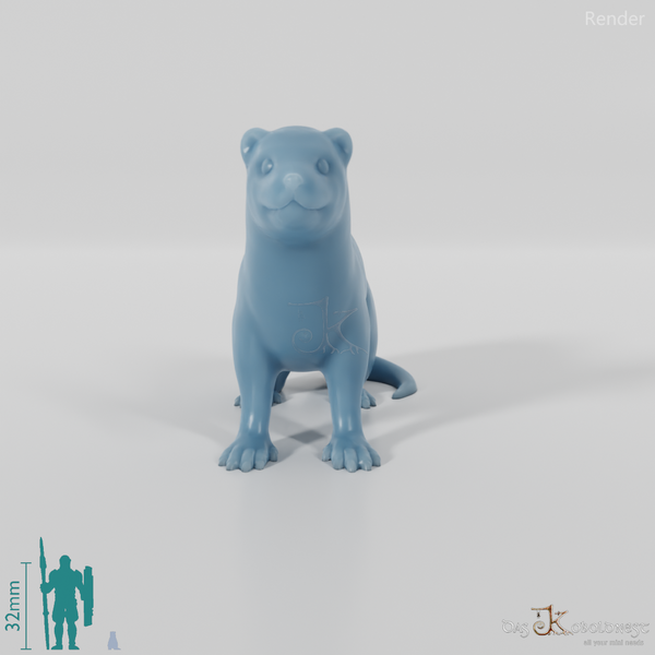 Marder - Frettchen 01