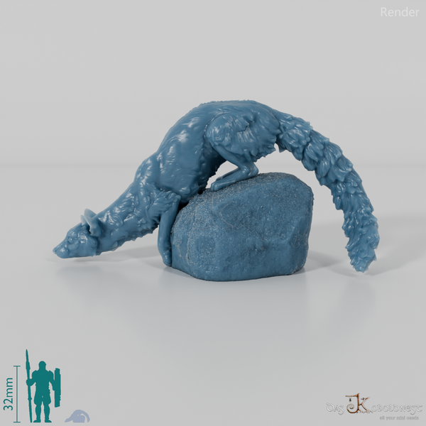 Civet cat - small-spotted genet 02