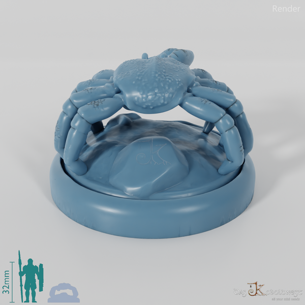 Krabbe - Riesenkrabbe 01