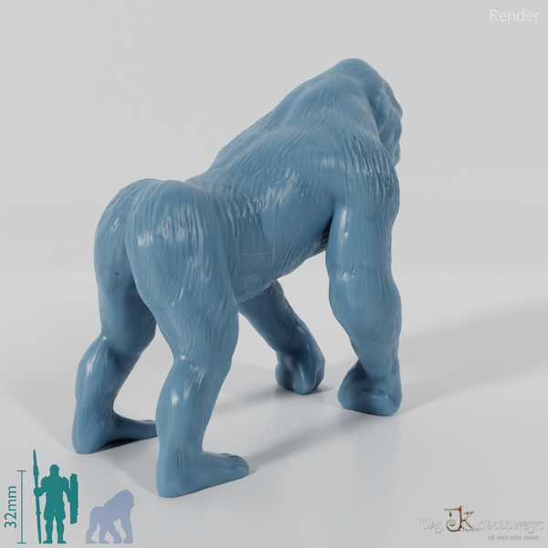 Menschenaffe - Gorilla 01