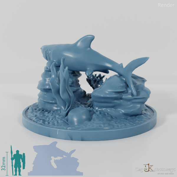 Shark - Great white shark in reef