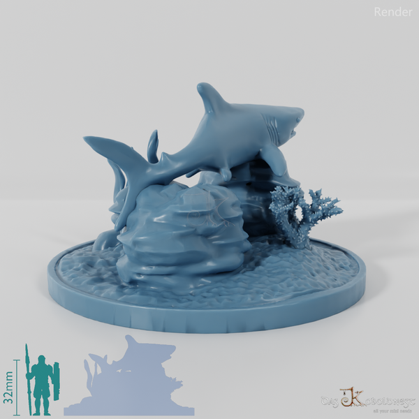 Shark - Great white shark in reef