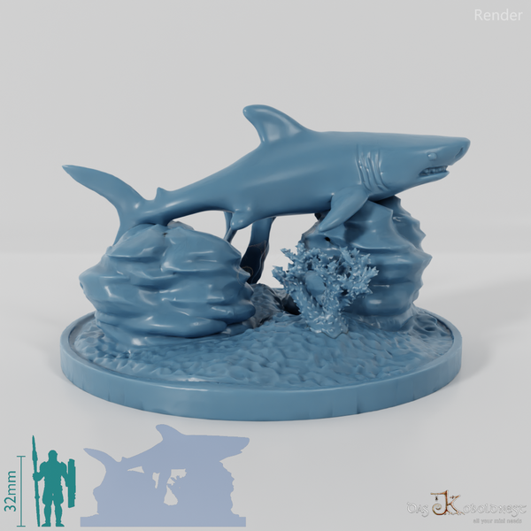 Shark - Great white shark in reef