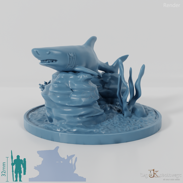 Shark - Great white shark in reef