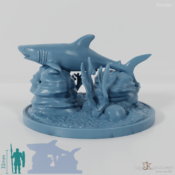 Shark - Great white shark in reef