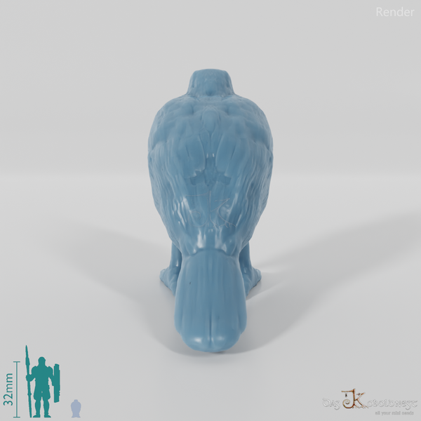 Bird of prey - Sparrowhawk 01