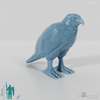 Bird of prey - Sparrowhawk 01