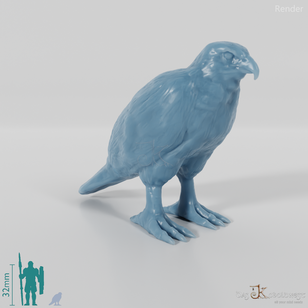 Bird of prey - Sparrowhawk 01