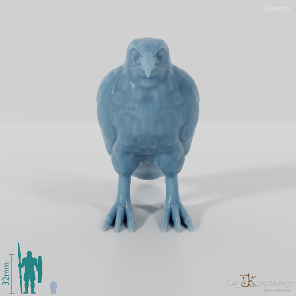 Bird of prey - Sparrowhawk 01